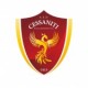 ASD Polisportiva Cessaniti